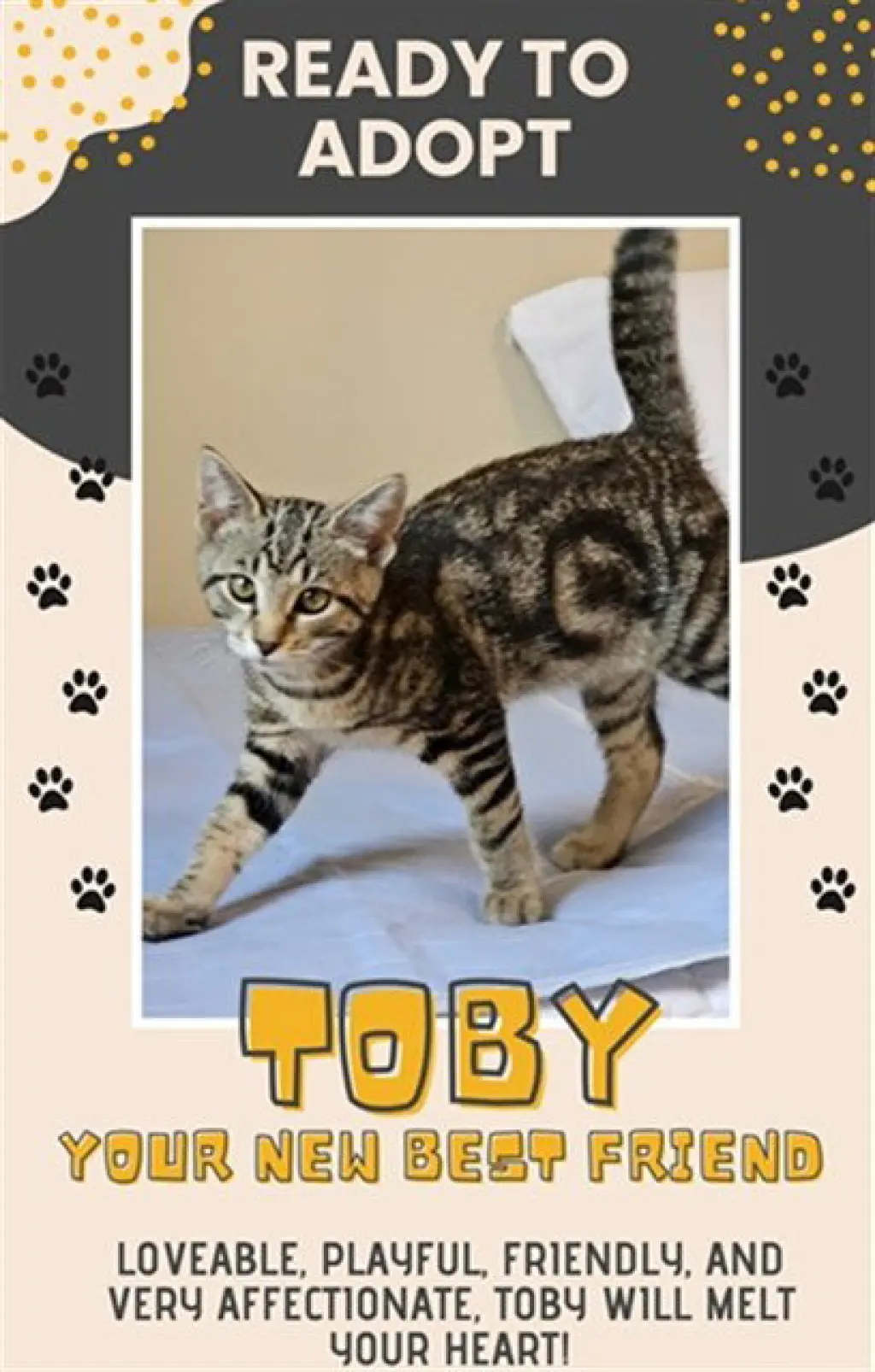 TOBY