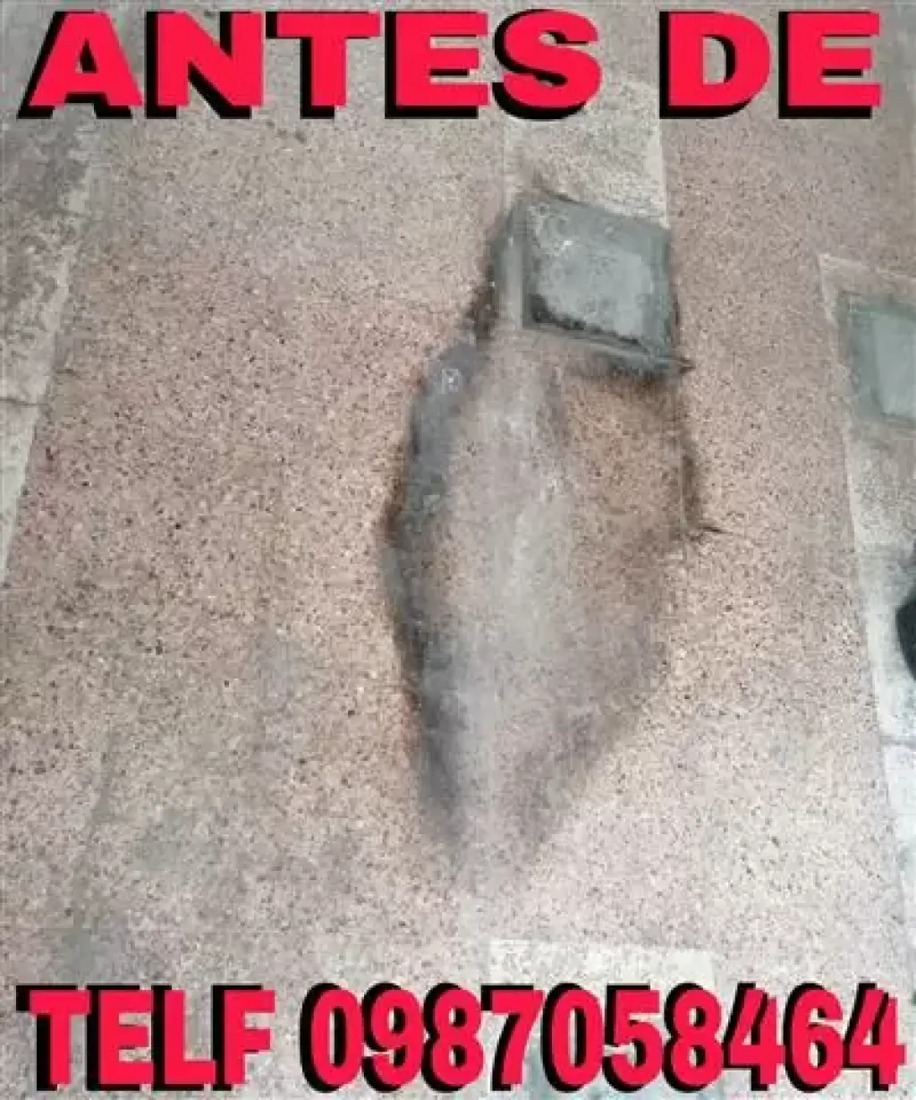 LIMPIEZA PROFUNDA En Pomasqui
