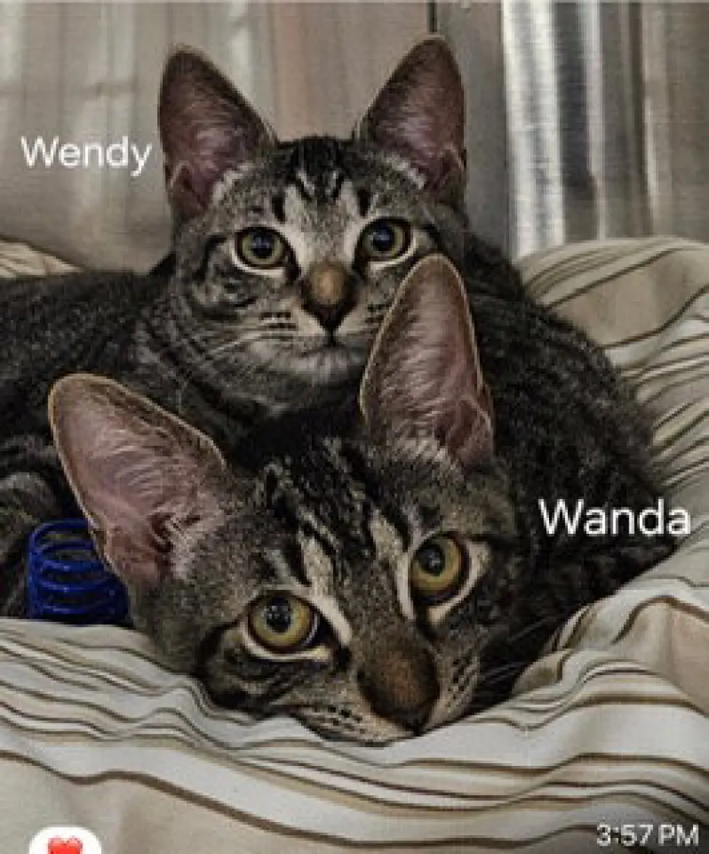 Wanda