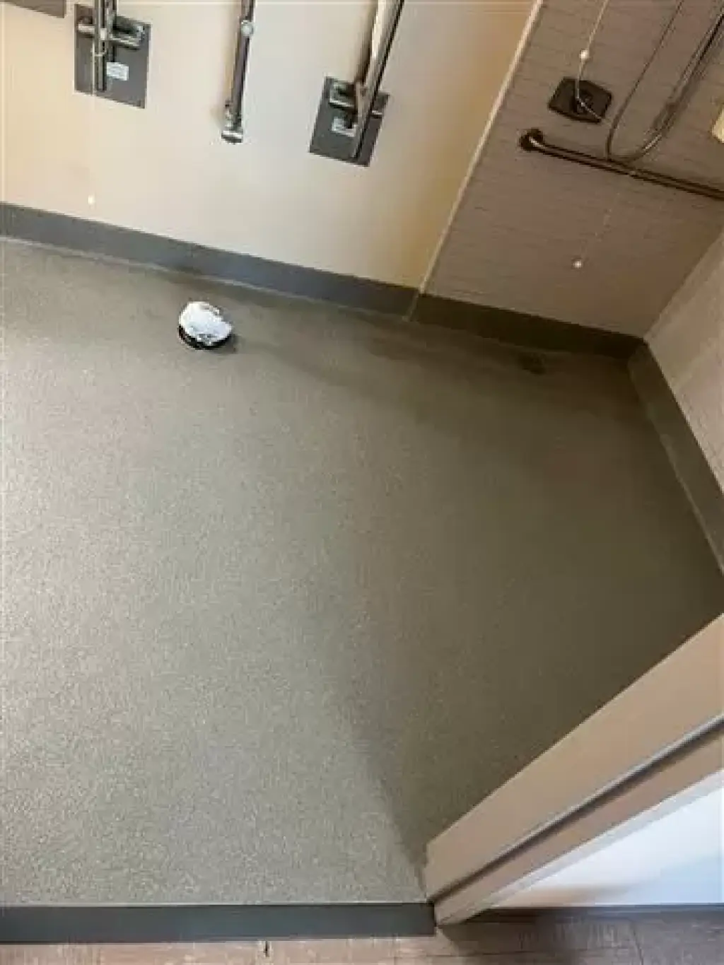 Pisos polis