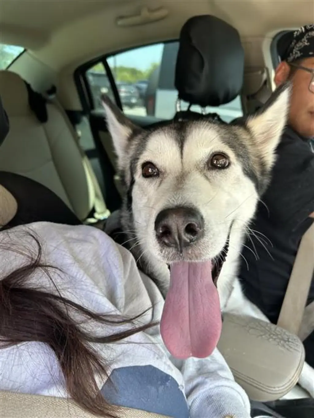 BOLT