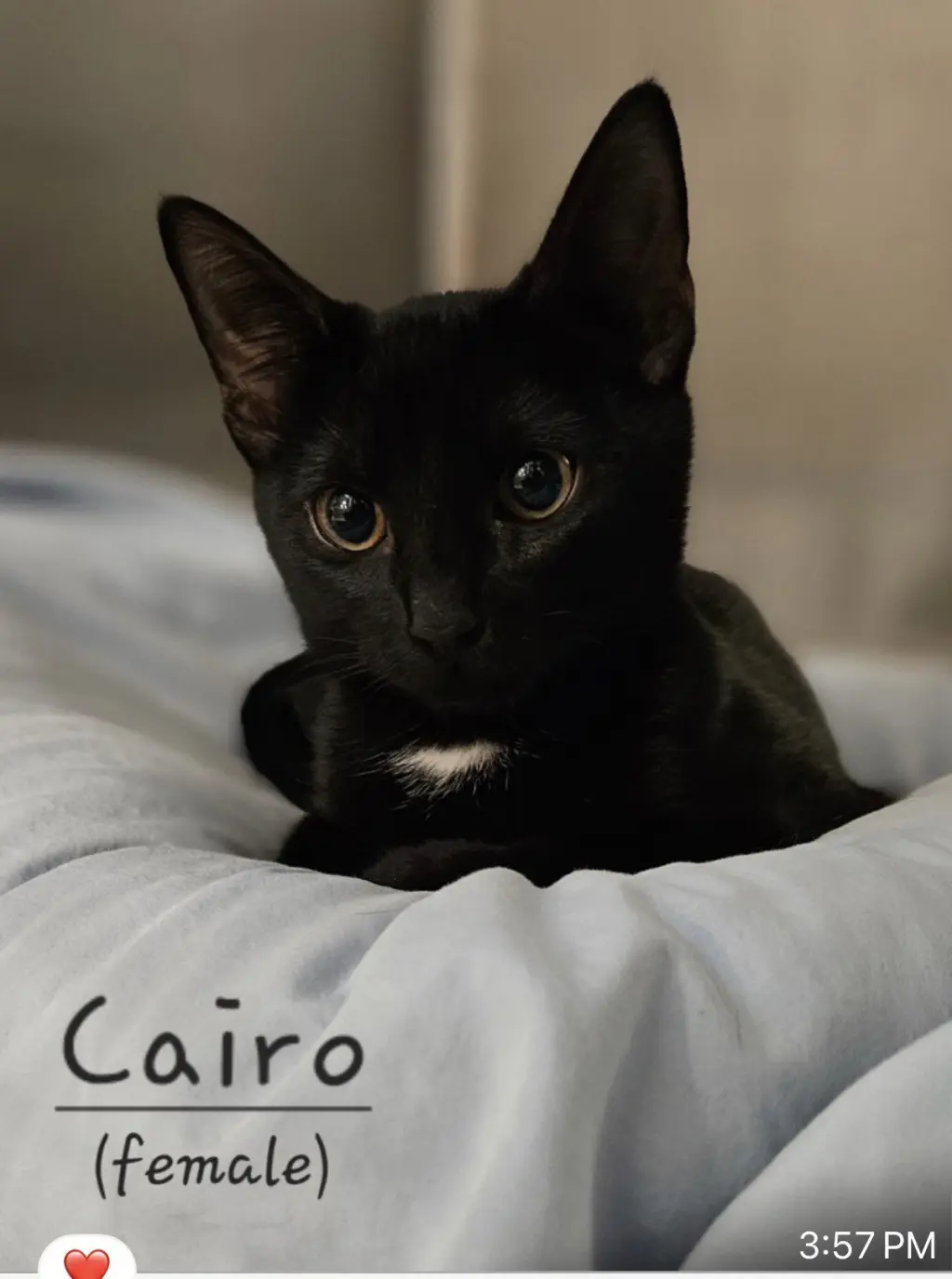Cairo