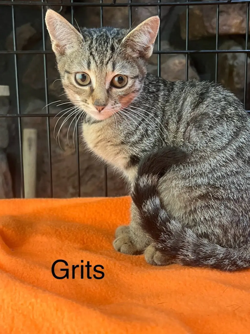 Grits