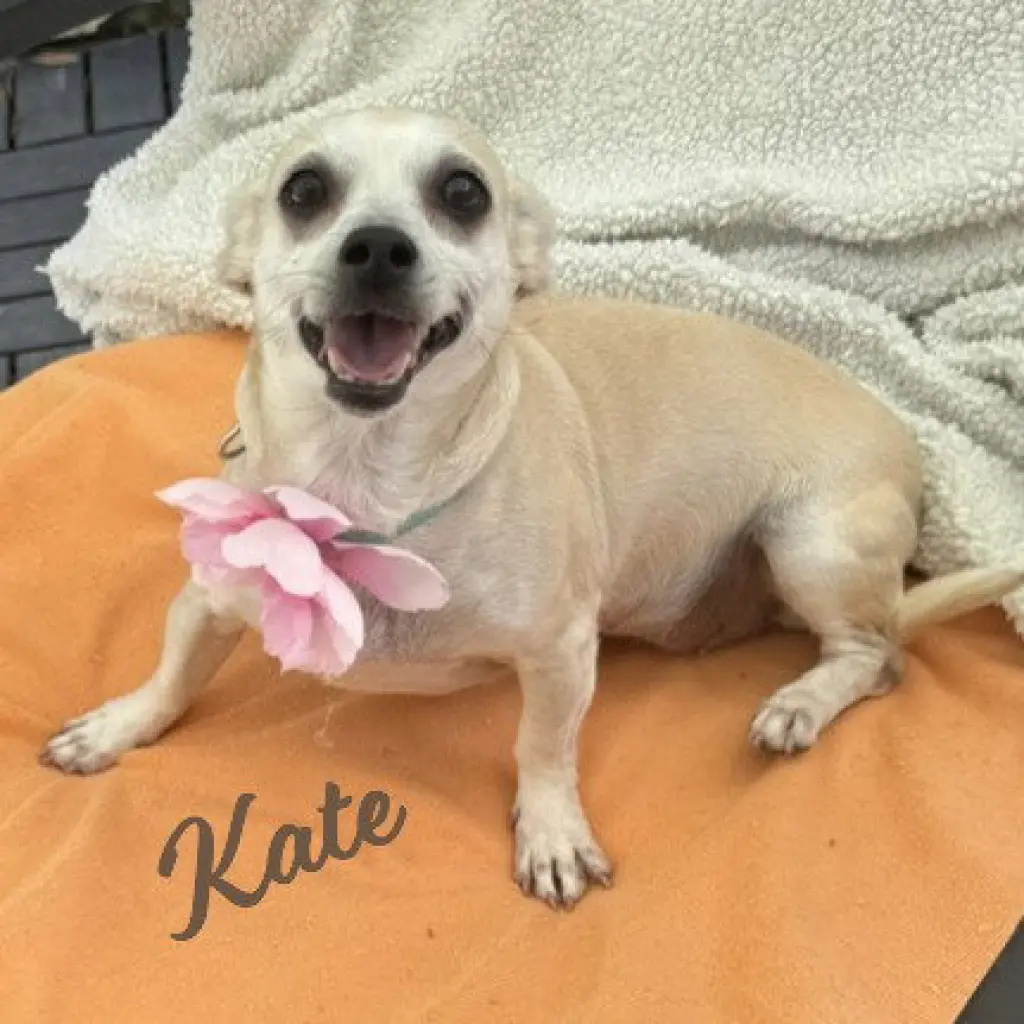 Kate #bestie-of-Kathy