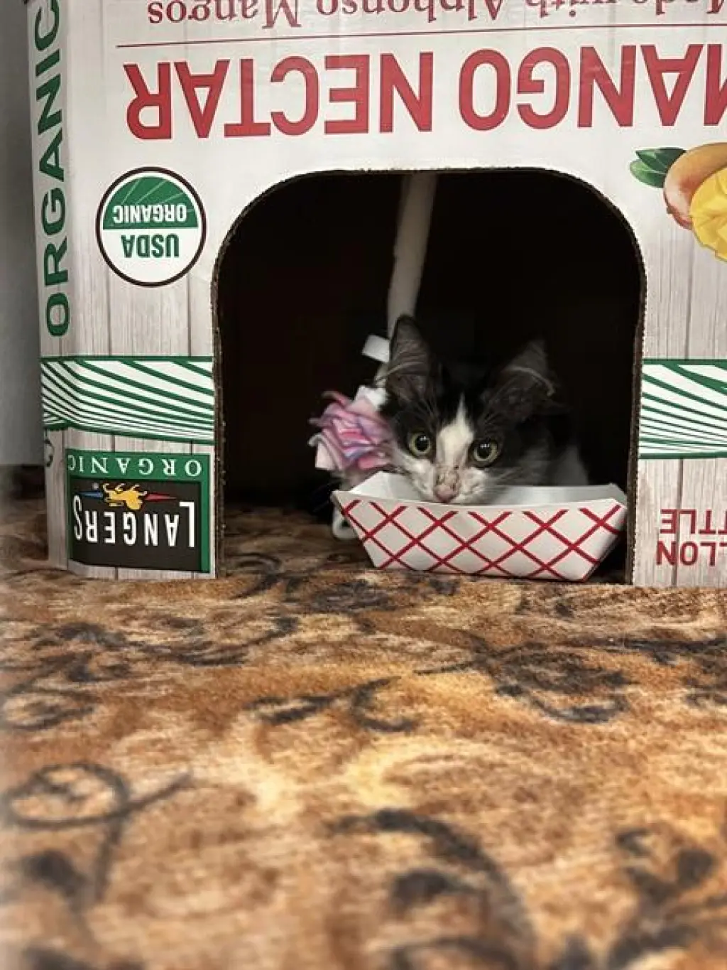 KASH