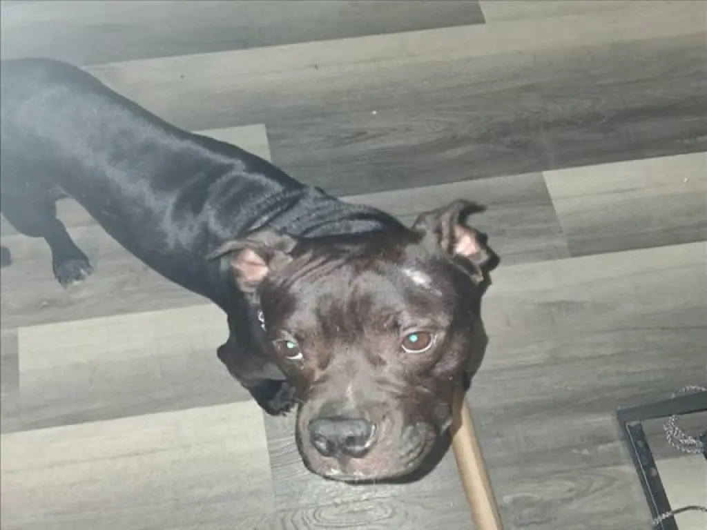 MARCO