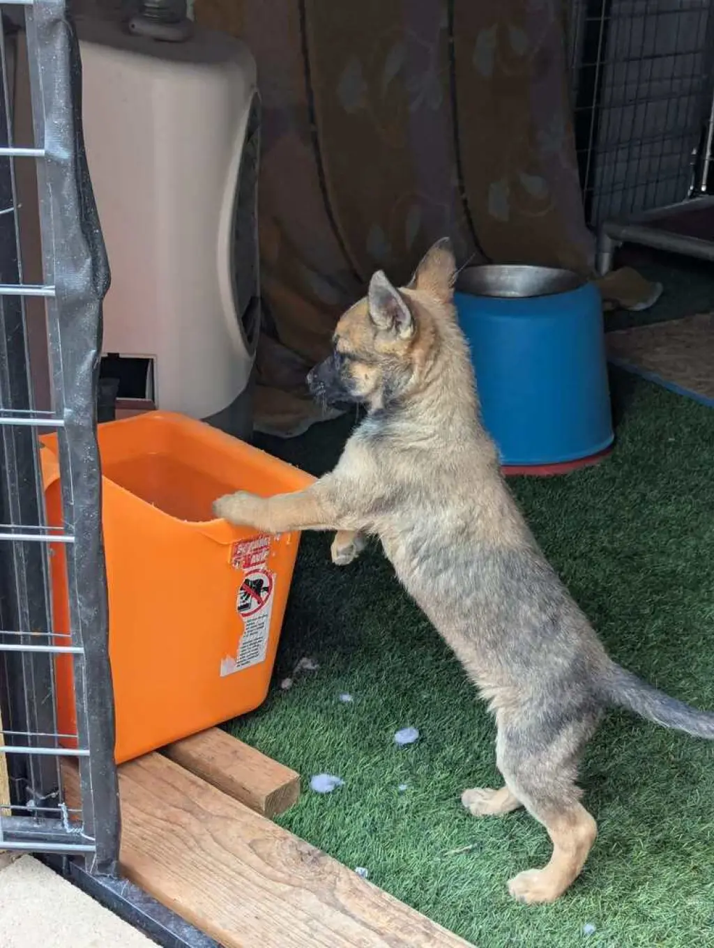 Drive Thru litter, Jimmy - located in UT