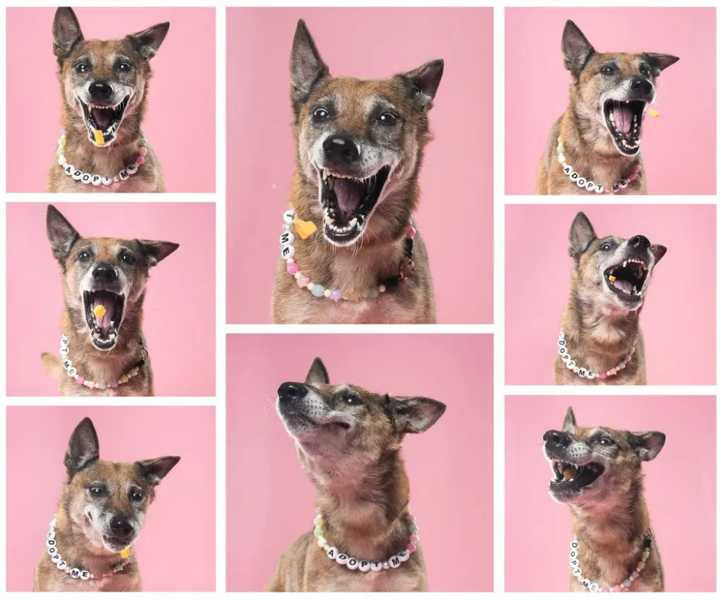 Celia - Located in PA