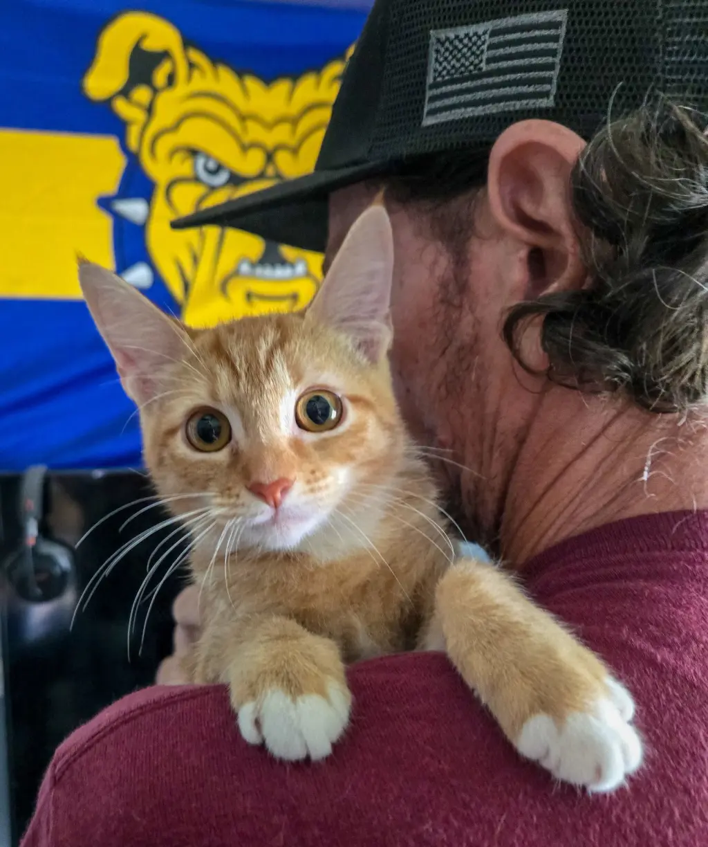 Arya