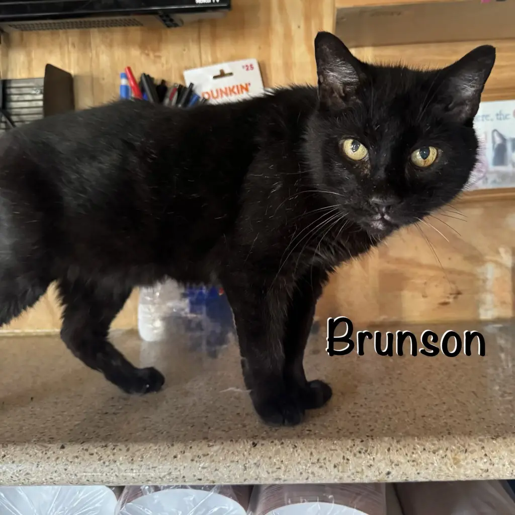 Brunson