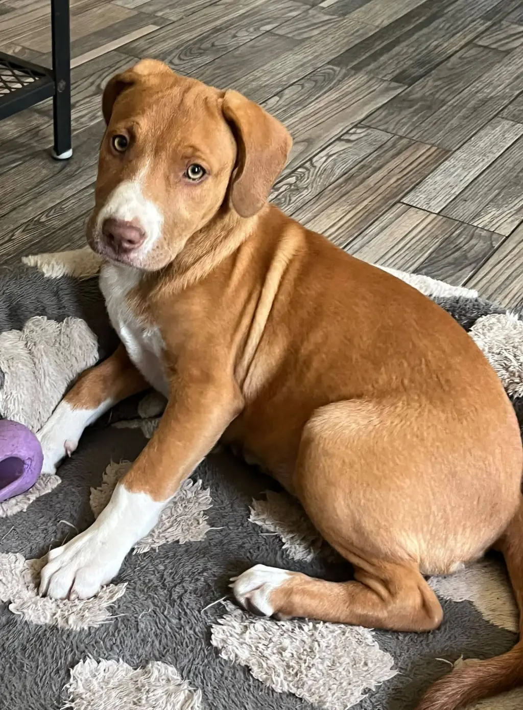 Ruby