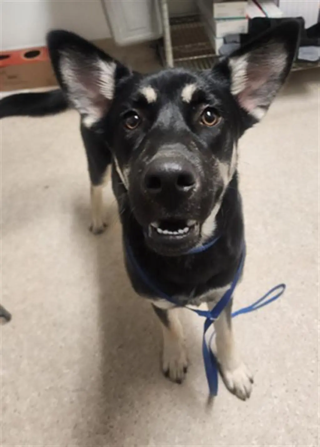 BENNY