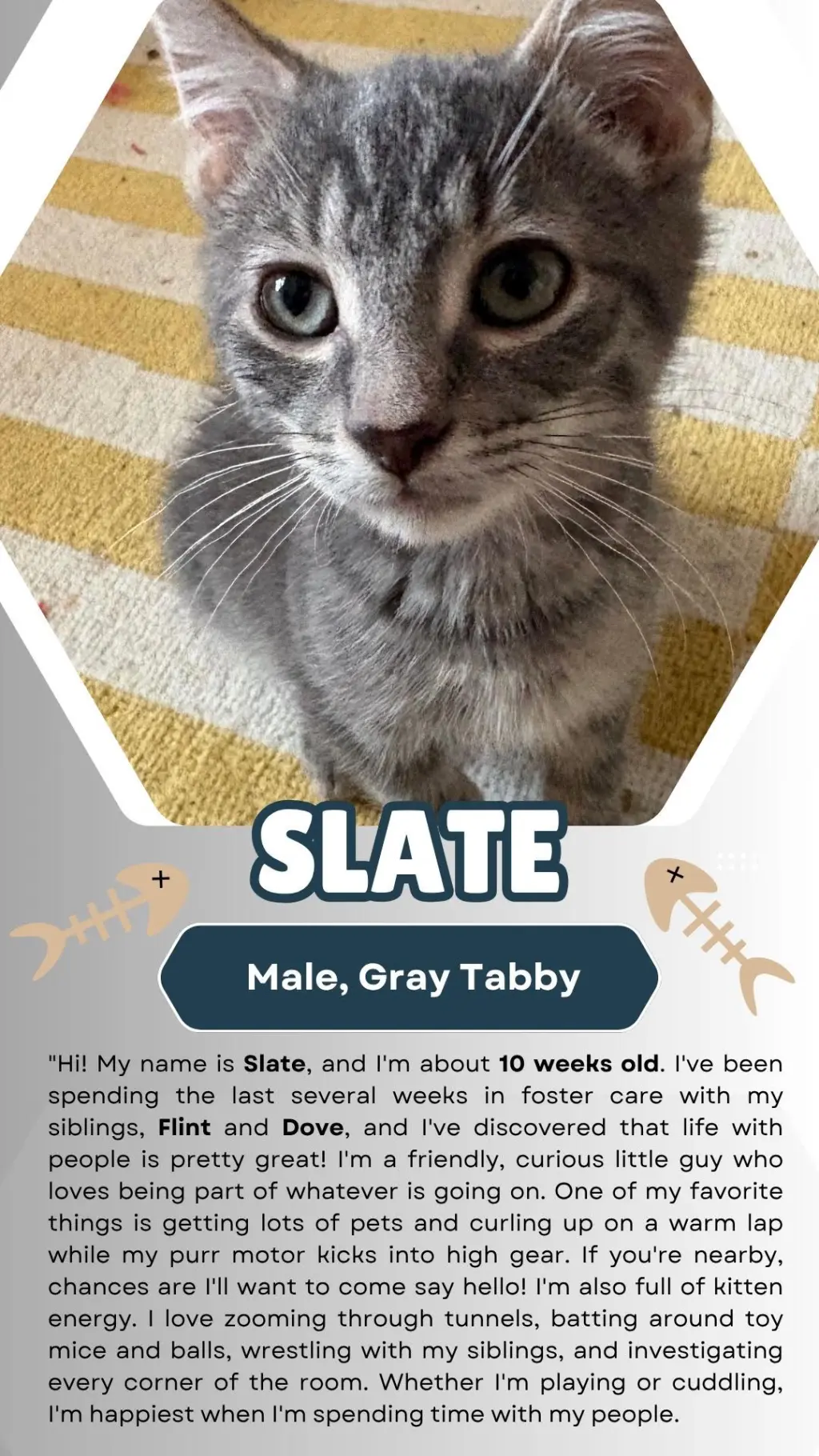 Slate (FCID# 07/15/2026 - 3)
