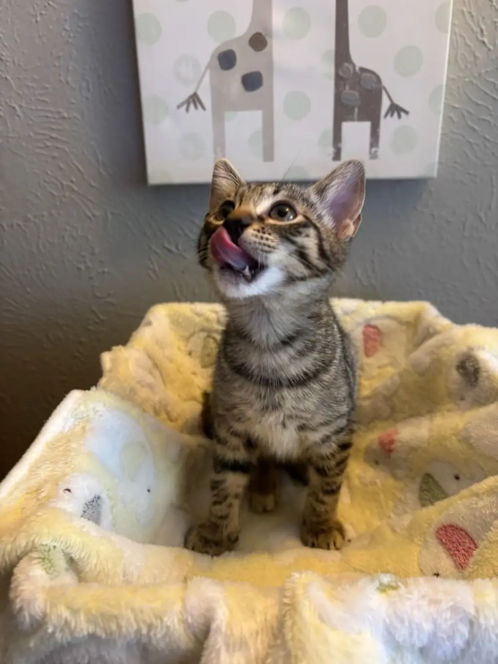 Minnie