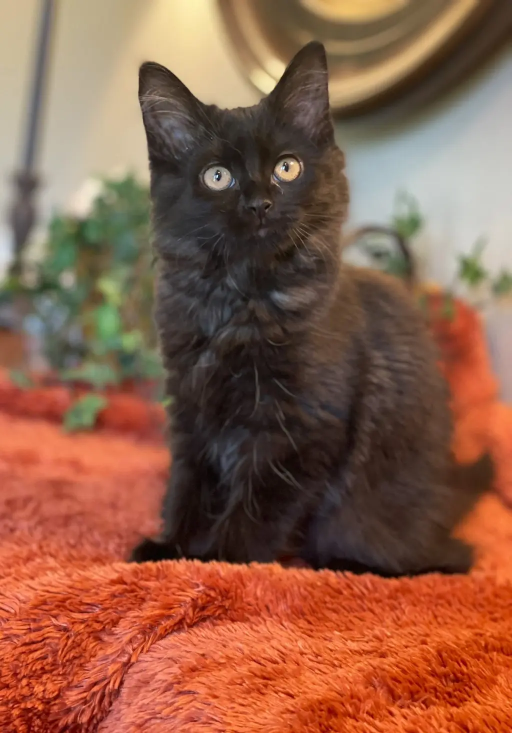 Elena