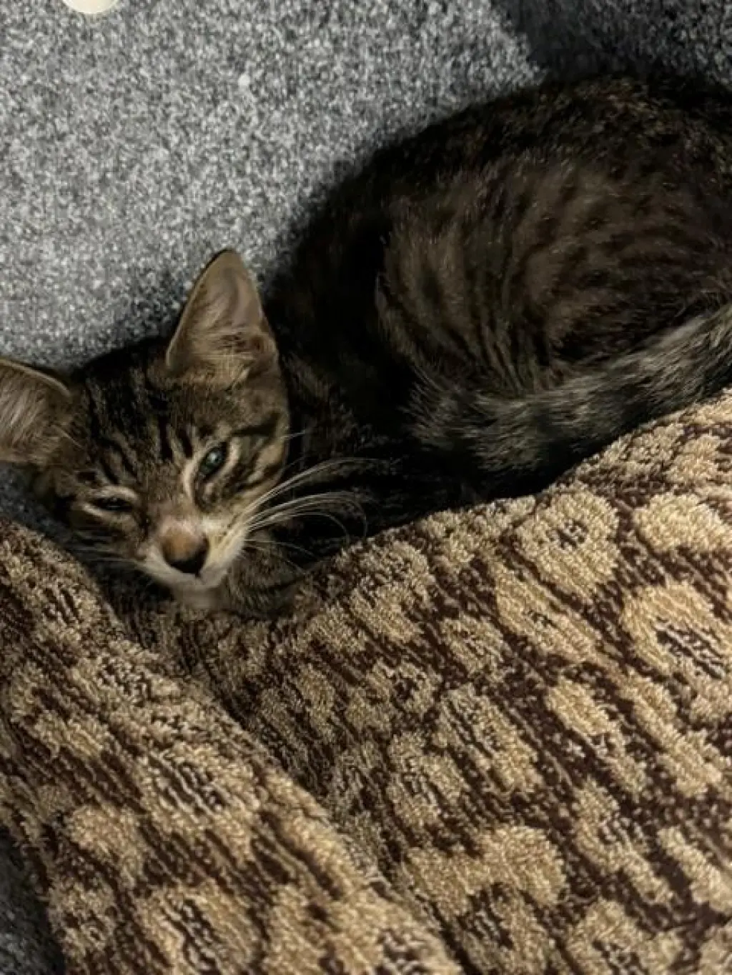 NIKO