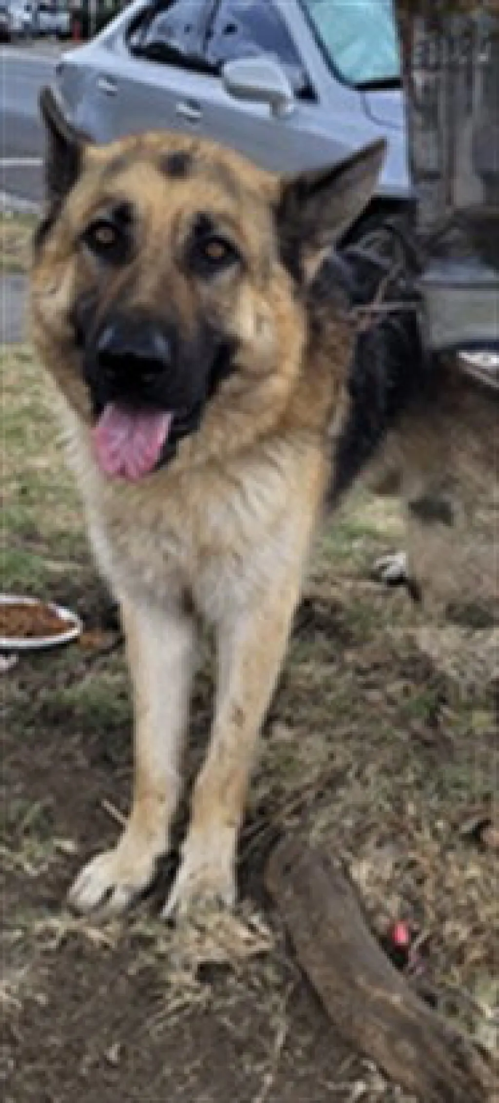 MARCO