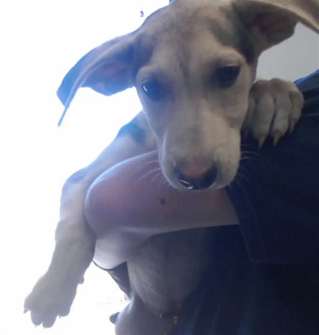 MIA