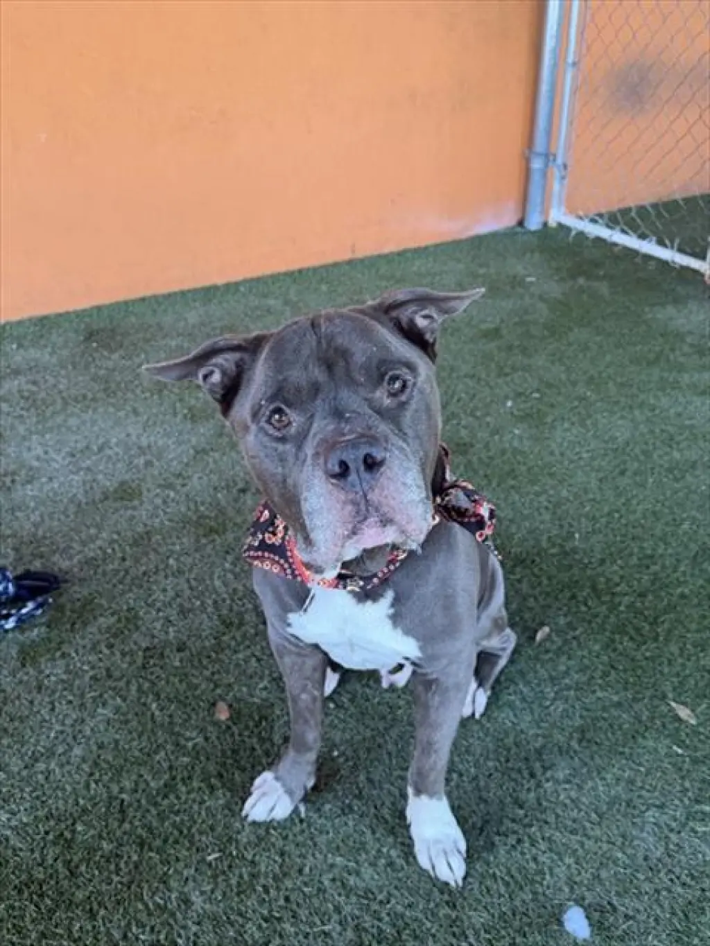 TANK