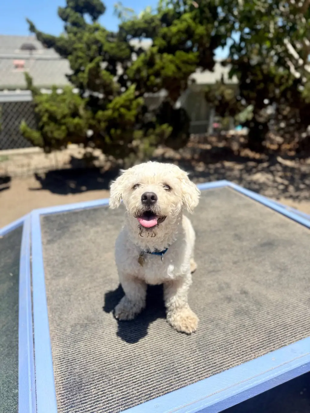 Milo