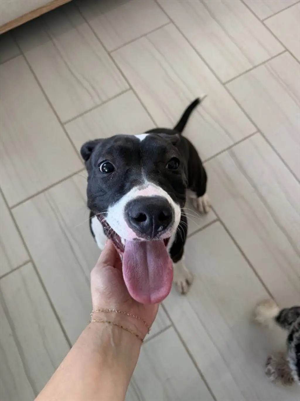 LUCY