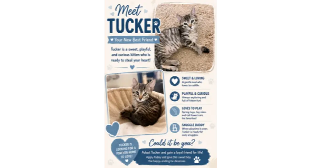 Tucker