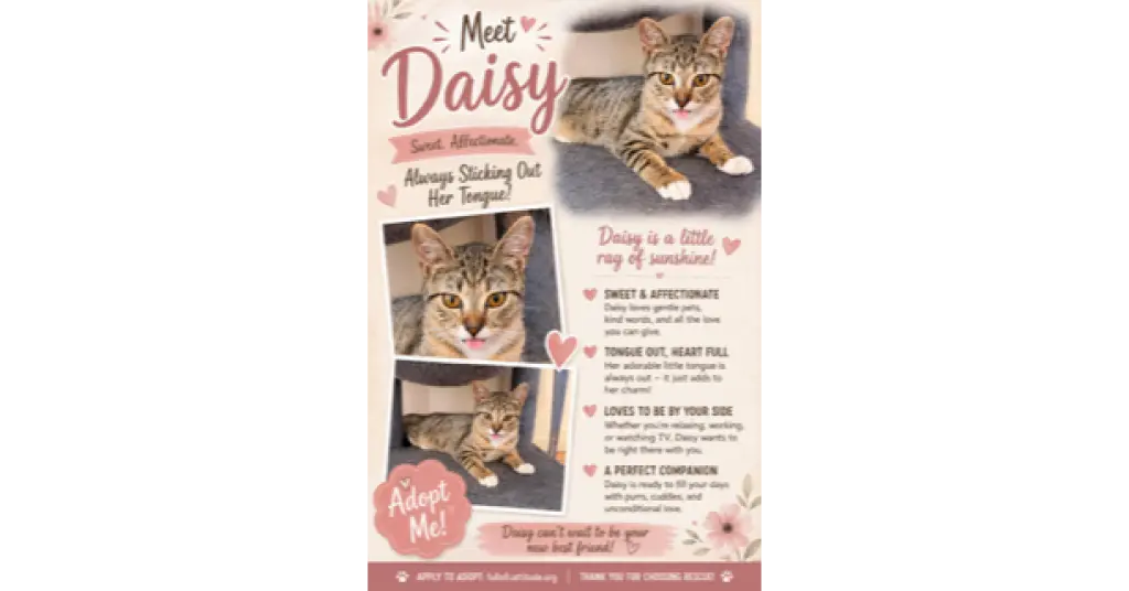 Daisy