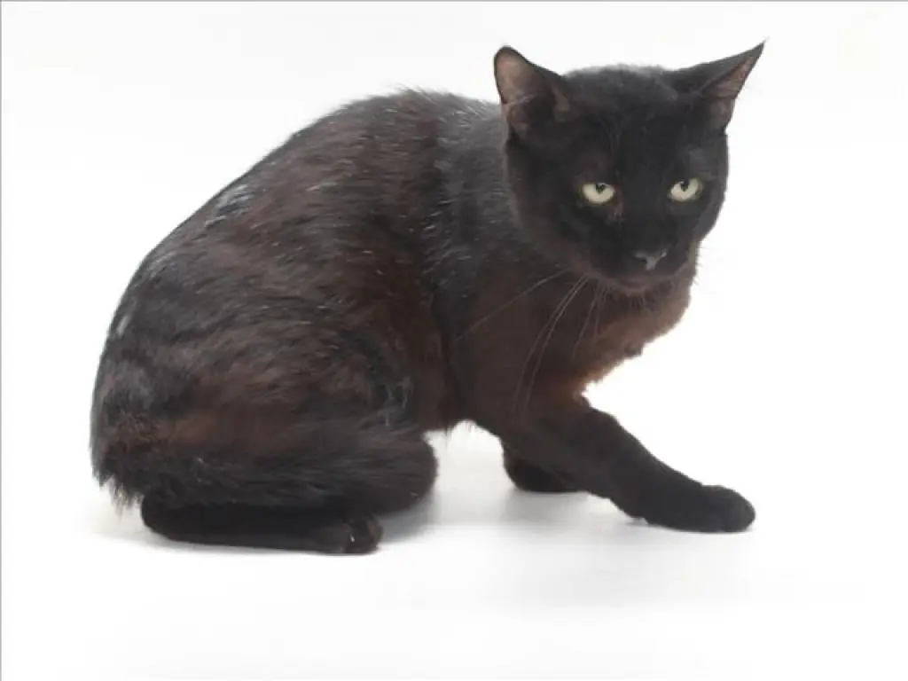 *GEORGE