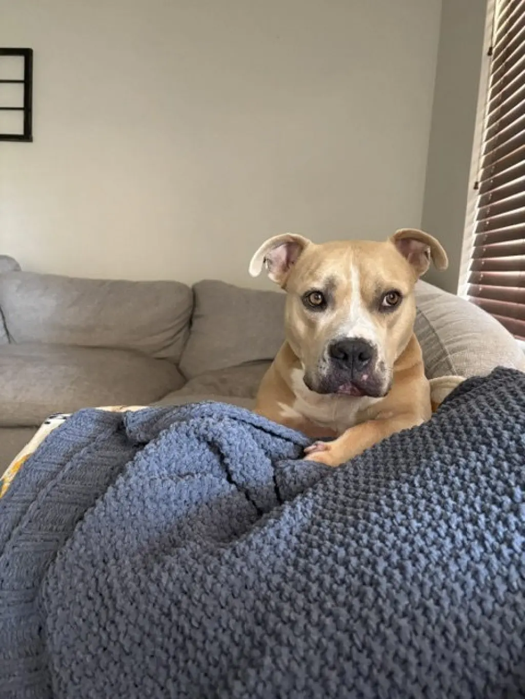 WINSTON #7