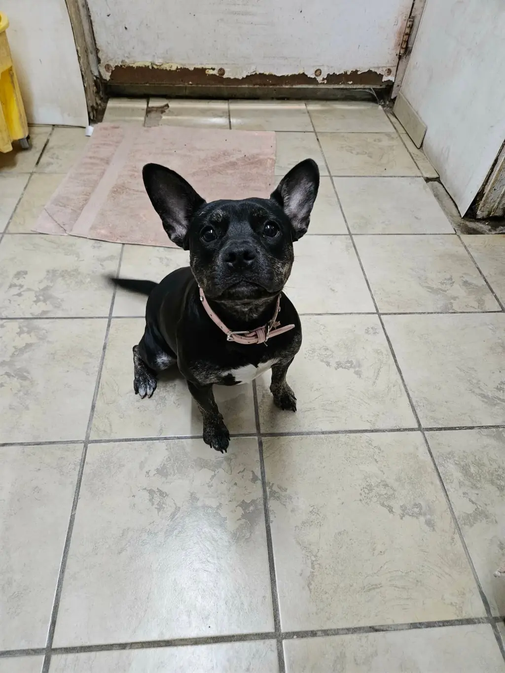 Maggie