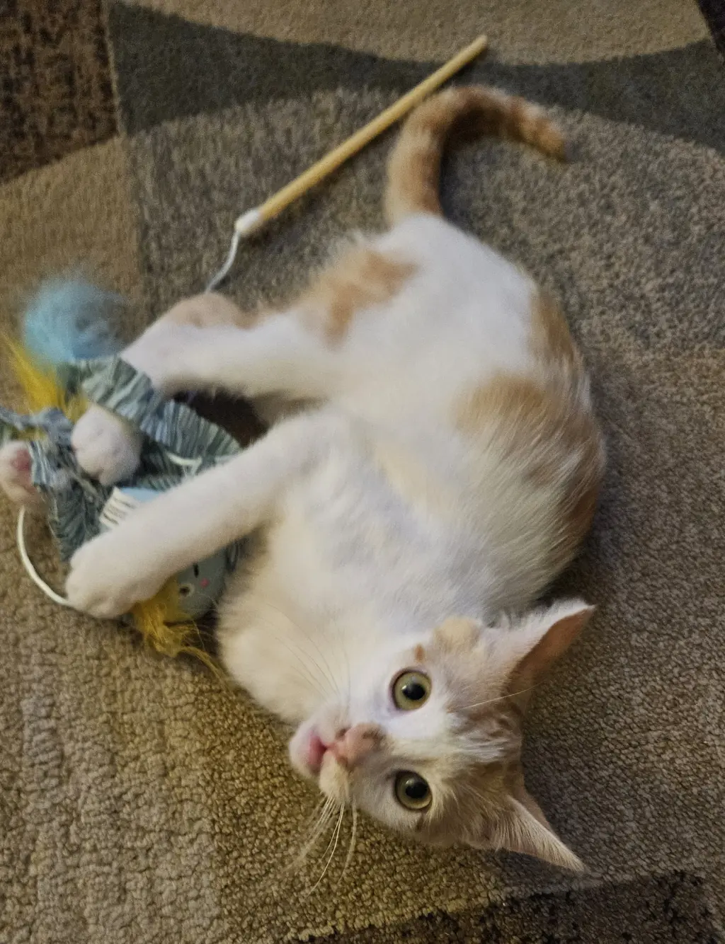 Milo