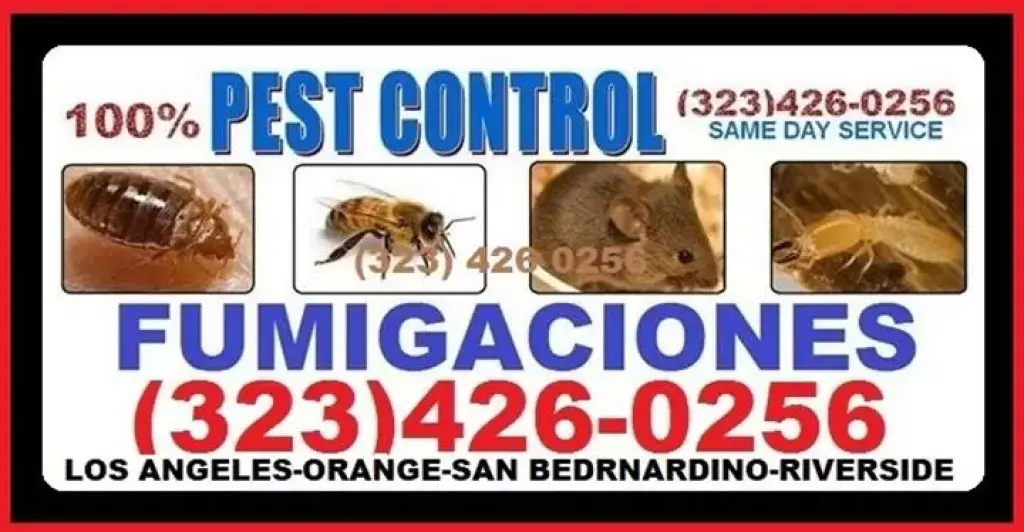 NO LA DEJES ENTRAR A TU CASA.