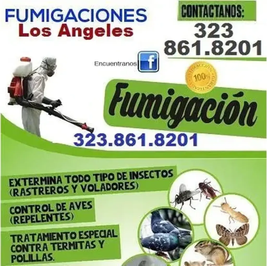 FUMIGACIONES GARANTIZADAS.24/7