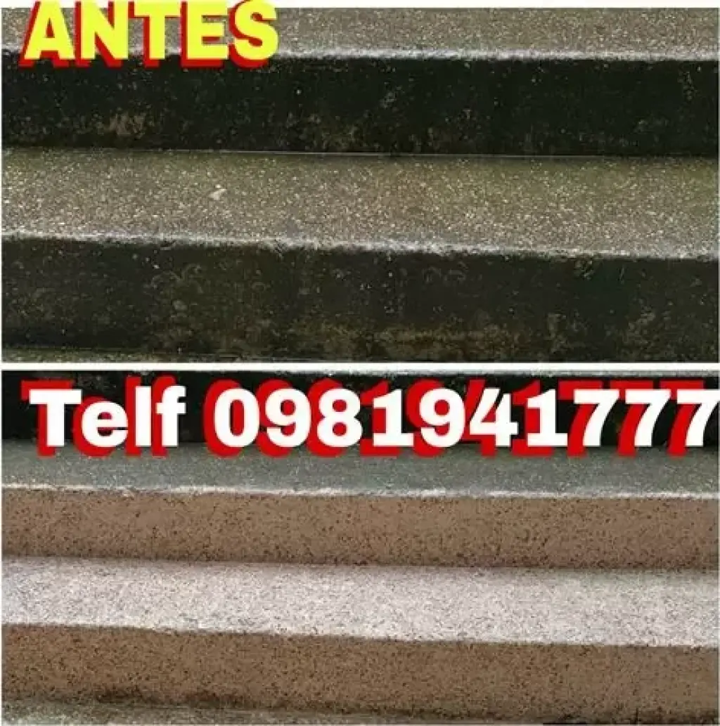 LIMPIEZA DE PISOS GRES Aloag