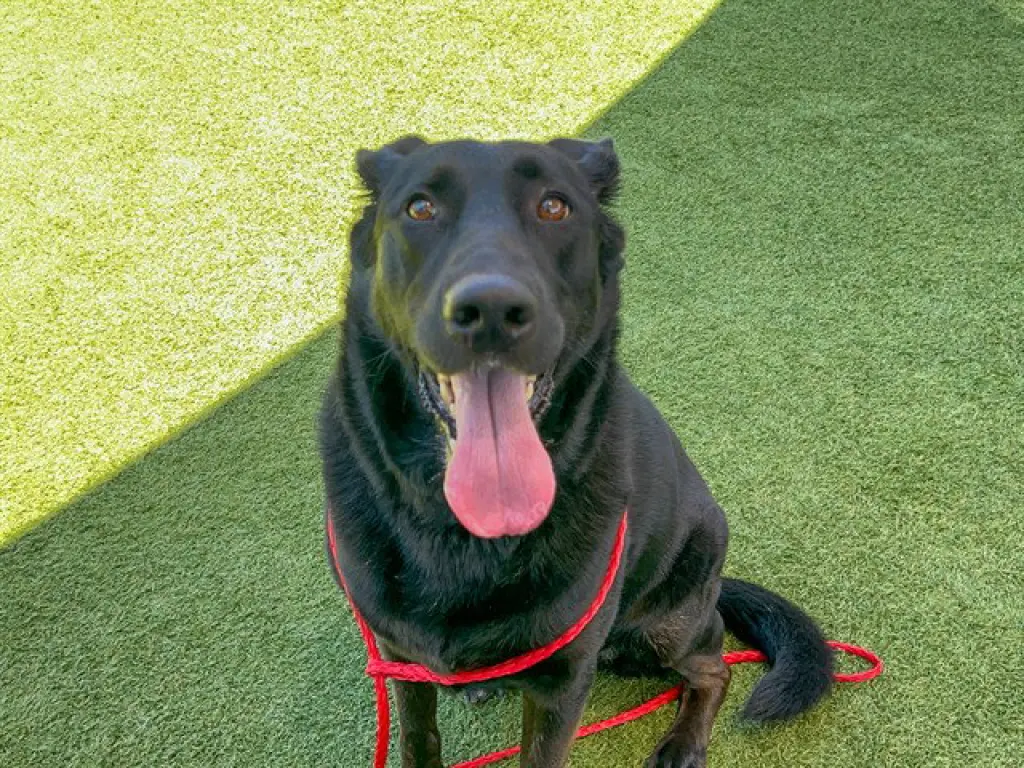 KONA