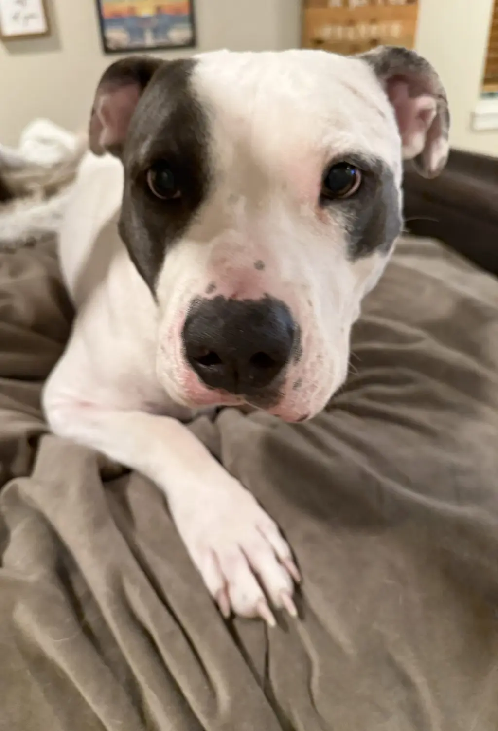 Hera