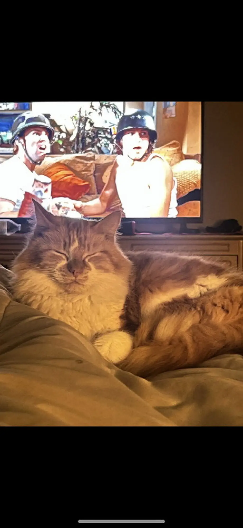 Clementine
