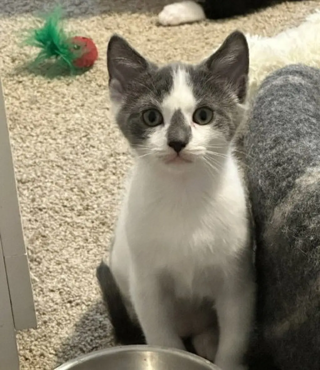 Monty