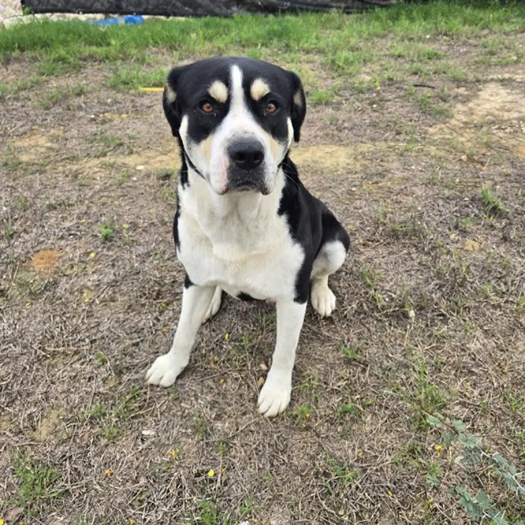 LEROY