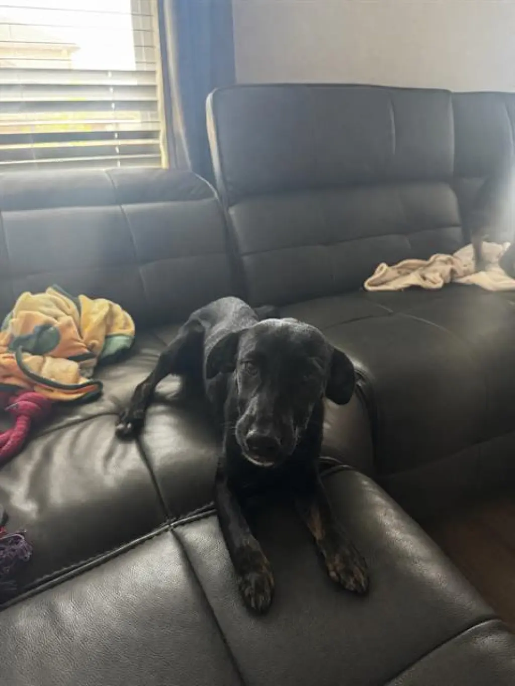 NOVA