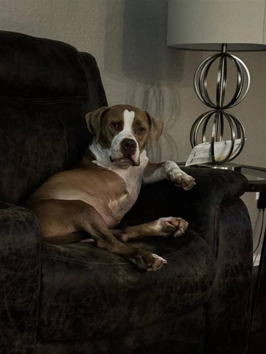 JAX