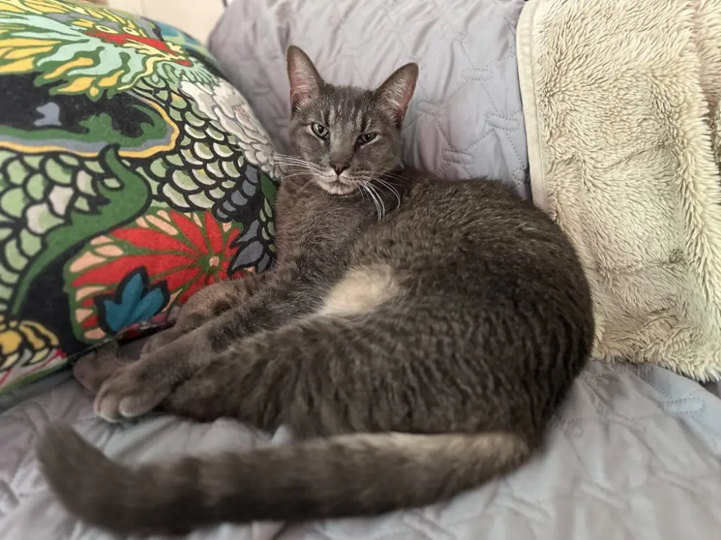 Milo Mike