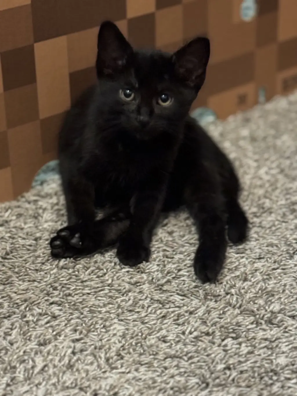 Black Panther