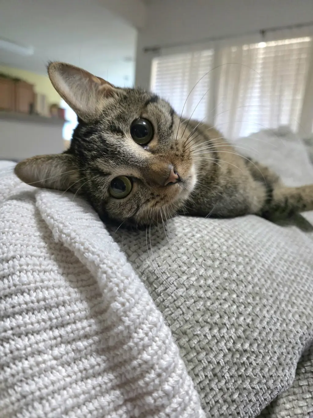 Juno