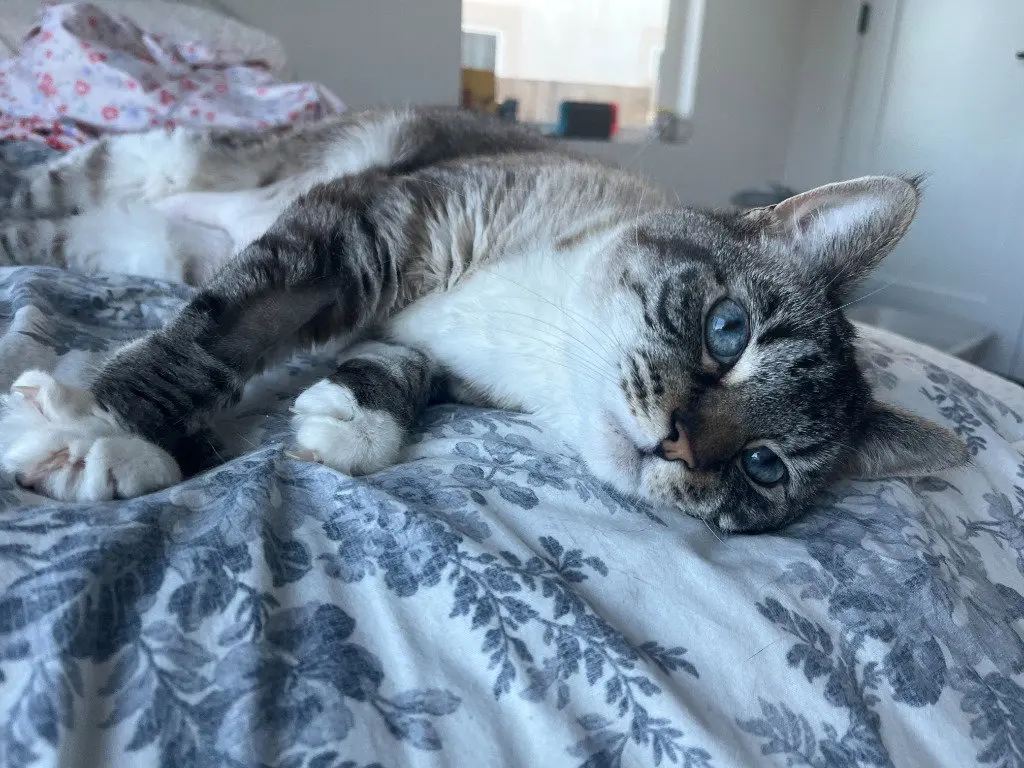 Beverly