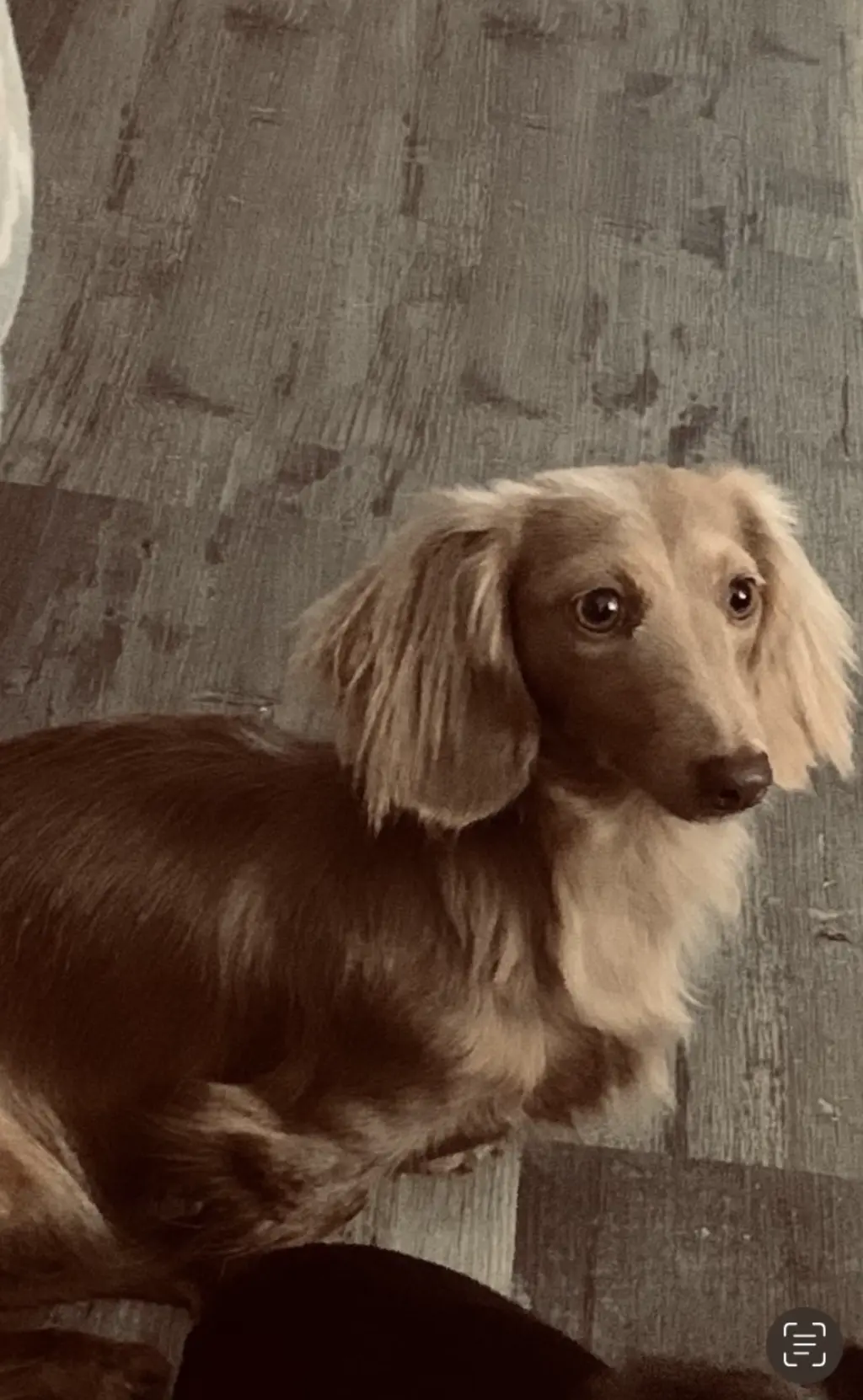Hana