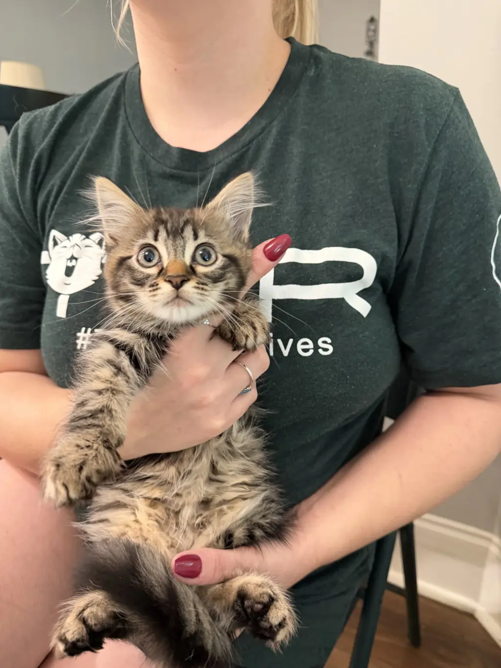 BOGO (Available for pre-adoption)