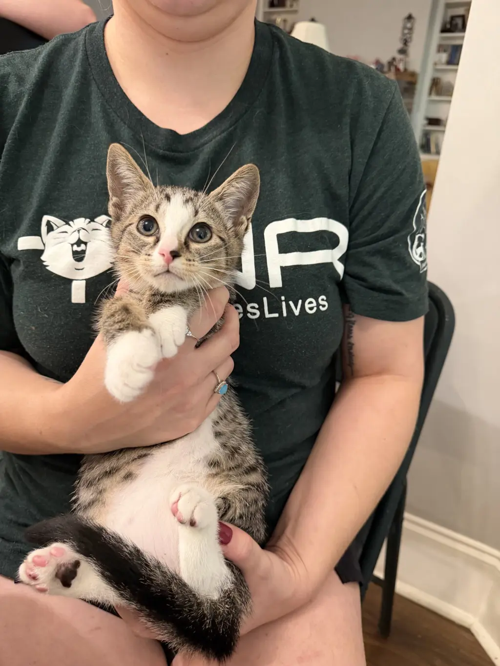 Bargain (Available for pre-adoption)