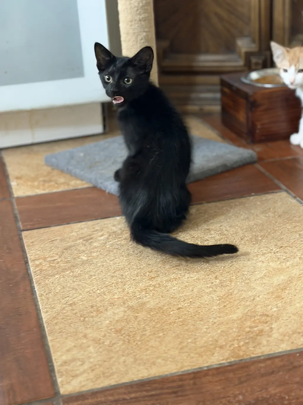 Winifred =^.^=