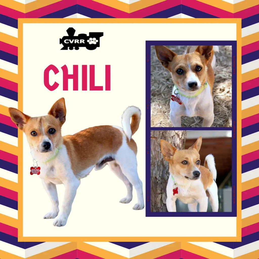 Chili